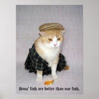 Old Scottish Fold Sprichwort