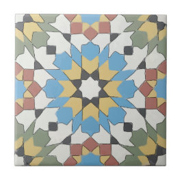 Old Style Spanish Tile Fliese