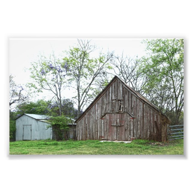 Old Texas Barn und Shed Fotodruck (Vorne)