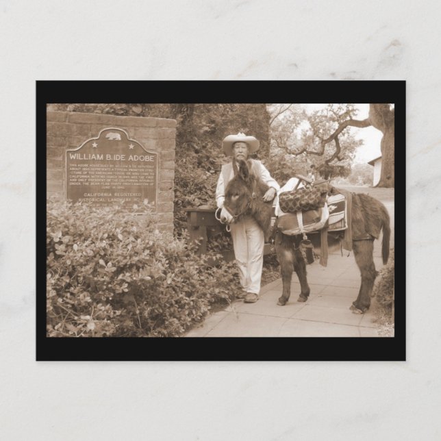 Old Time Donkey Postcard Postkarte (Vorderseite)