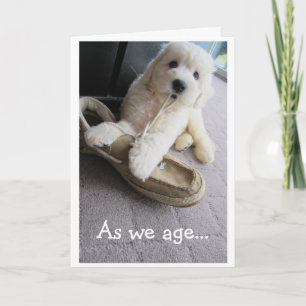 Old Timer Birthday, Cute Goldendoodle pup Humor Karte