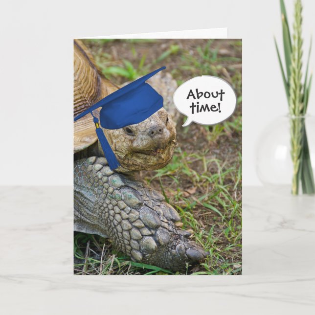 Old Tortoise Graduate mit Blue Cap Karte (Vorderseite)