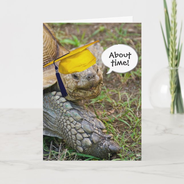 Old Tortoise Graduate mit Gold Cap Karte (Vorderseite)