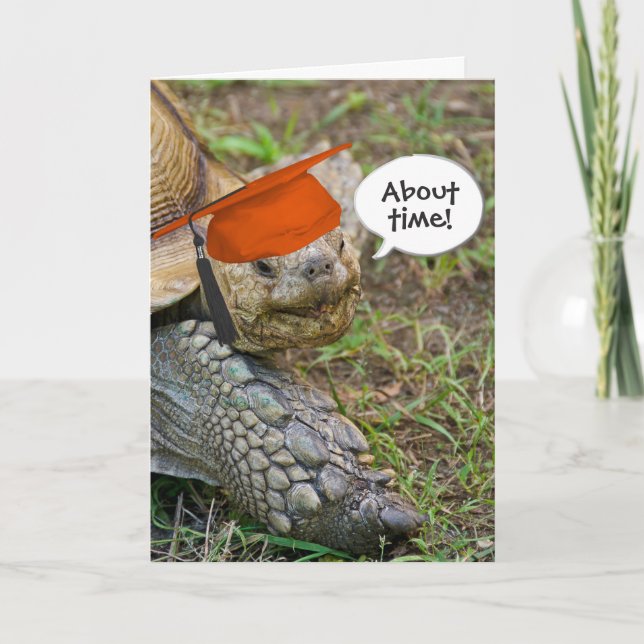 Old Tortoise Graduate mit Orange Cap Karte (Vorderseite)