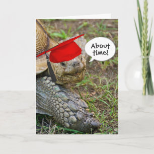 Old Tortoise Graduate mit roter Cap Karte
