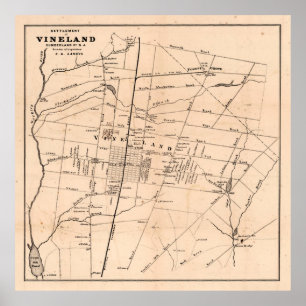 Old Vineland NJ Map (1875) Dandelion Hauptstadt Poster