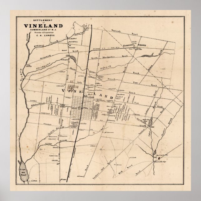 Old Vineland NJ Map (1875) Dandelion Hauptstadt Poster (Vorne)