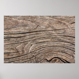 Old Weathered Rotten Knotted Coarse Wood G Poster