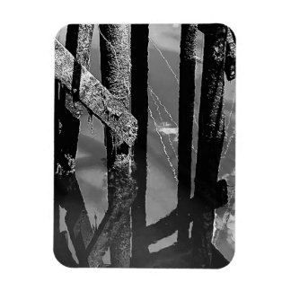 Old Wharf Pier Barnacle Beams Pilings Photo Magnet