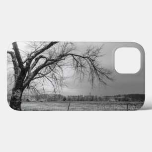 Old Winter Tree Graustufen iPhone Case