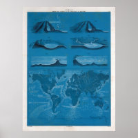 Old World Ocean Currents Map (1860)