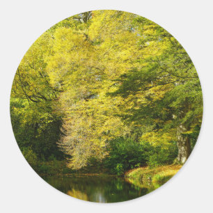Old Yew Trees Classic Round Sticker