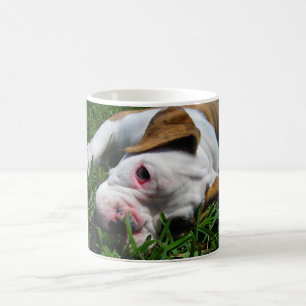 Olde englischer Bulldoggen-Welpe Tasse