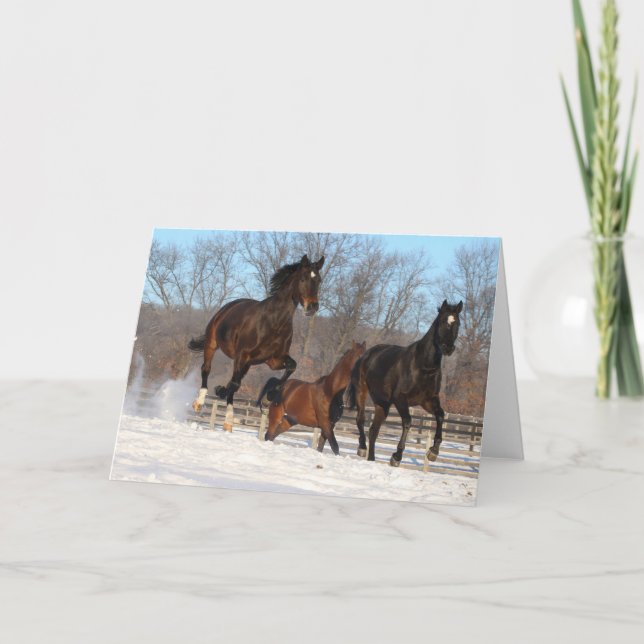 Oldenburg und Hanoverian Mares im Schnee Karte (Vorderseite)