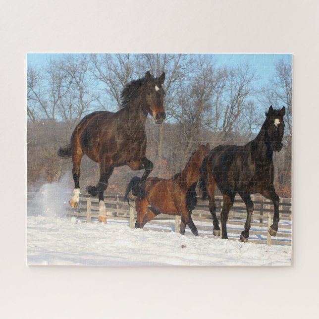 Oldenburg und Hanoverian Mares im Schnee Puzzle (Horizontal)