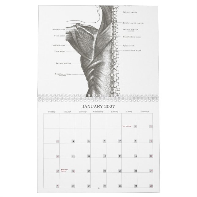 OldSchool Anatomie Kalender (Jan 2027)
