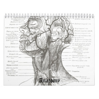 OldSchool Anatomie Kalender