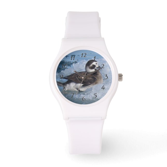 Oldsquaw Langschwanzente auf Eis im Ozean Armbanduhr (Vorderseite)