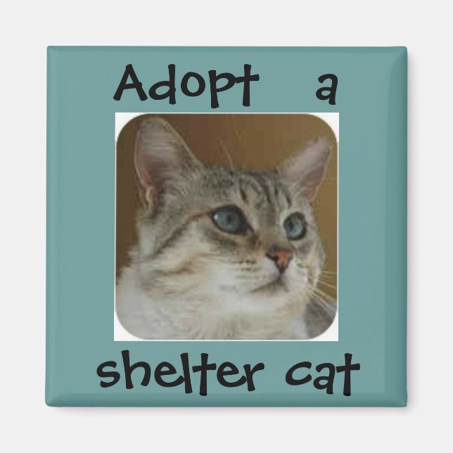 Ole Blue Eyes Magnet (Vorne)