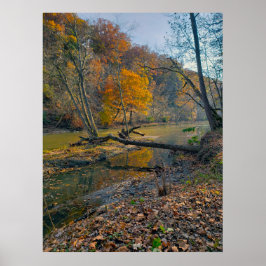 Olentangy River in Herbst, Highbanks Metro park, O Poster