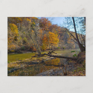 Olentangy River in Herbst, Highbanks Metro park, O Postkarte