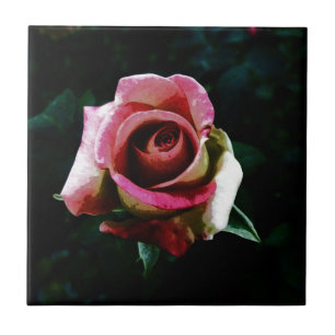 Ölgemalte Rose Fliese