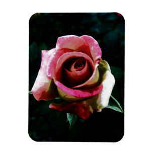 Ölgemalte Rose Magnet