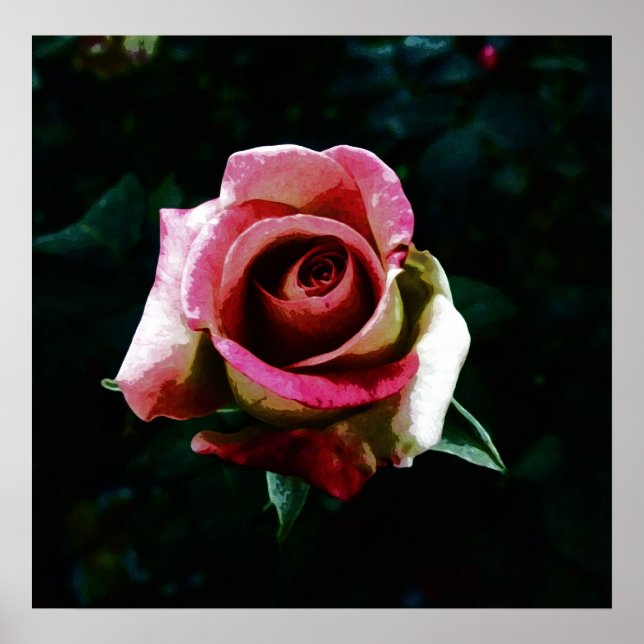 Ölgemalte Rose Poster (Vorne)