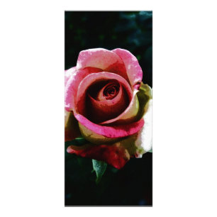 Ölgemalte Rose Werbekarte