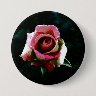Ölgemalte rote Rose Button