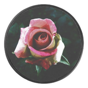 Ölgemalte rote Rose Eishockey Puck