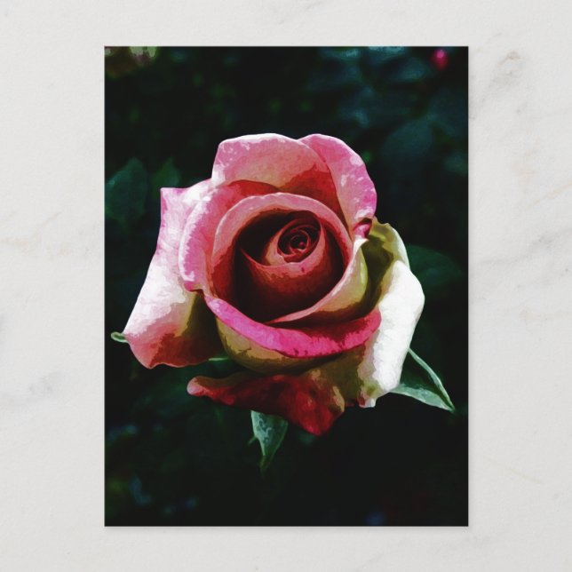 Ölgemalte rote Rose Feiertagspostkarte (Vorderseite)