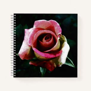 Ölgemalte rote Rose Notizbuch