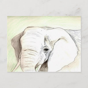 Olifant Postkarte