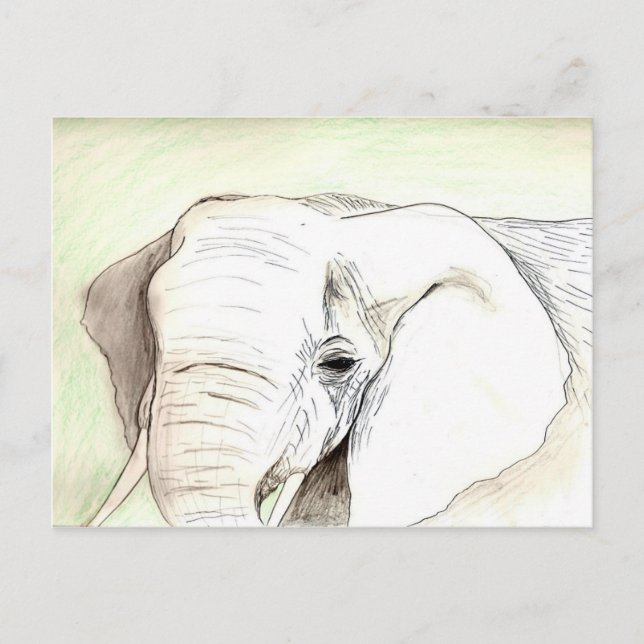 Olifant Postkarte (Vorderseite)