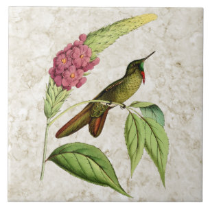 Olivaceous Thornbill Vintage Kolibri Fliese