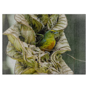 Olive Backed Euphonia, Wildlife Aviary Fotografy Schneidebrett