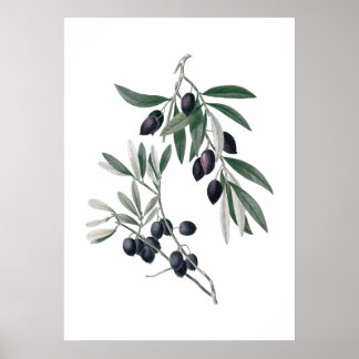 Olive Fastenposter Poster