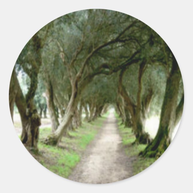 Olive Garden Stickers (Vorderseite)