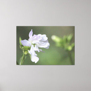 Olive Green Print Leinwanddruck