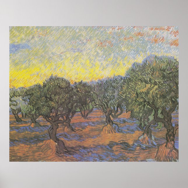 Olive Grove, Orange Sky von Vincent van Gogh Poster (Vorne)