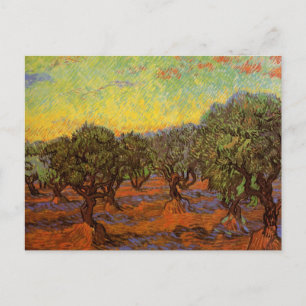 Olive Grove, Orange Sky von Vincent van Gogh Postkarte
