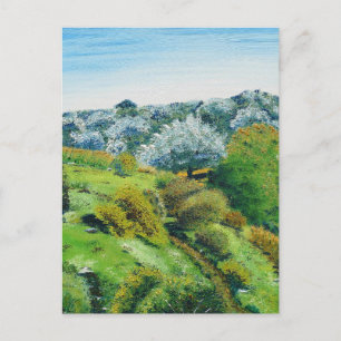 Olive Grove Postkarte