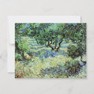 Olive Grove von Vincent van Gogh