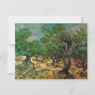 Olive Grove von Vincent van Gogh