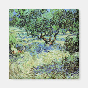 Olive Grove von Vincent van Gogh Magnet