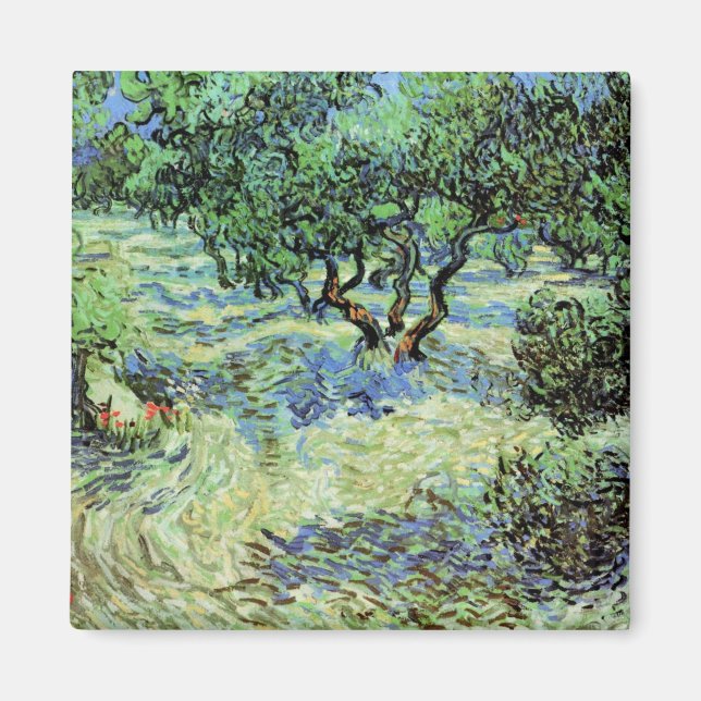 Olive Grove von Vincent van Gogh Magnet (Vorne)