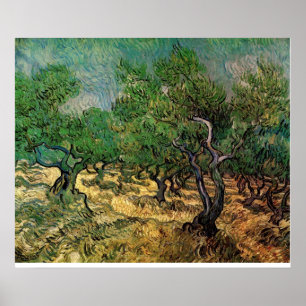 Olive Grove von Vincent van Gogh Poster