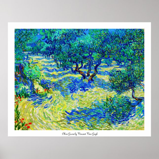 Olive Grove von Vincent Van Gogh Poster (Vorne)