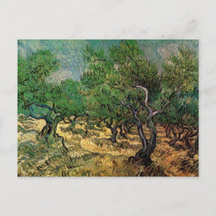 Olive Grove von Vincent van Gogh Postkarte